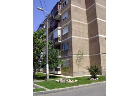 SE POATE! Asociaţia de proprietari de pe strada Constantin Noica nr. 15A e o dovadă că, dacă se implică, orădenii pot amenaja în faţa blocurilor adevărate grădini